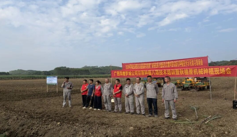 河池罗城：田间地头办培训 推进秋蔗机械化种植