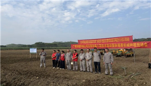 河池罗城：田间地头办培训 推进秋蔗机械化种植